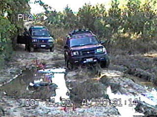 Powerline Allen03
