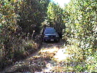 Powerline Ollie01