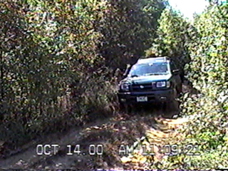 Powerline Ollie02