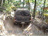 Uwharrie Rednec05