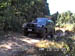 Powerline Ollie03