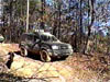 Rednec Powerline 01