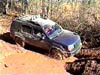Rednec Powerline 04