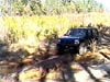 Robert Powerline 01
