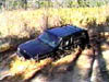 Robert Powerline 03