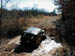 Roberts Jeep 06 